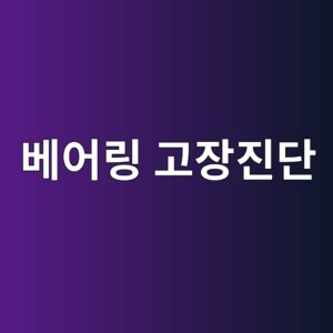 베어링 고장진단에서 전달경로가 진동 스펙트럼을 왜곡하는 이유|구조 전달함수와 결함 신호의 역문제 3 베어링 고장진단 - Generated Thumbnail