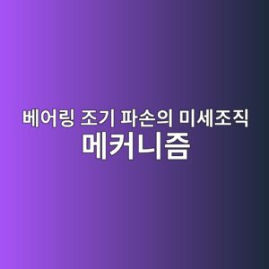 Rolling Contact Fatigue에서 White Etching Crack은 왜 생길까?|베어링 조기 파손의 미세조직 메커니즘 2 ebb2a0ec96b4eba781 eca1b0eab8b0 ed8c8cec8690ec9d98 ebafb8ec84b8eca1b0eca781 eba994ecbba4eb8b88eca698 1788854276